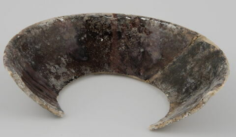 Coupe fragmentaire, image 1/1