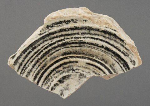 Fragment de fond de coupe et amorce de paroi, image 1/1