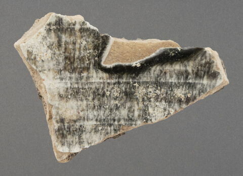Fragment de paroi, image 1/1