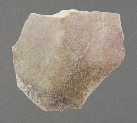 Fragment de jonction base/panse, image 1/1