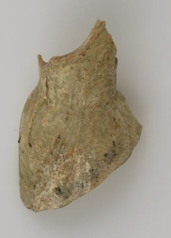 Quatre fragments de flacon, image 1/1