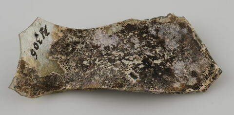 Fragment de fond, image 1/1