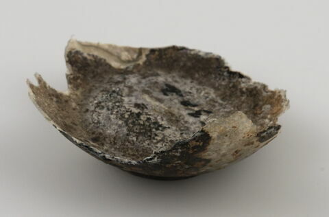 Fragment de fond avec amorce de panse, image 1/1