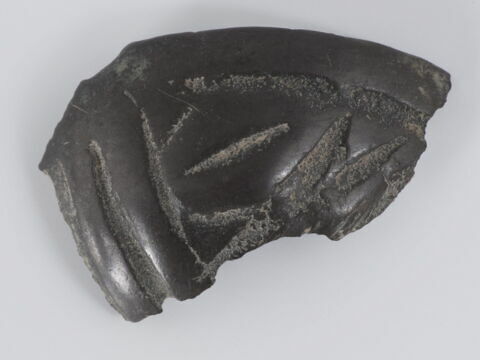 Fragment de coupelle, image 1/1