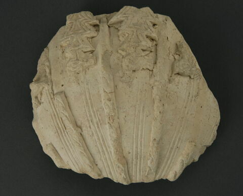 Fragment de jarre, image 1/1