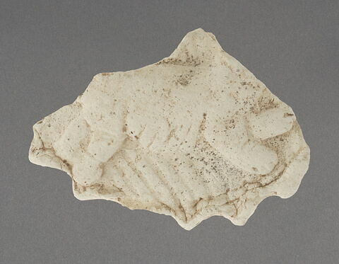 Fragment de couvercle de cruche, image 1/1