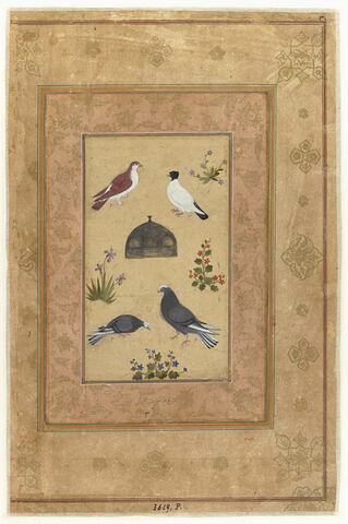 Quatre pigeons autour d'une mangeoire(page d'album)