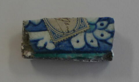 Fragment de carreau de bordure à longue feuille dentelée sur fond cobalt, image 1/1
