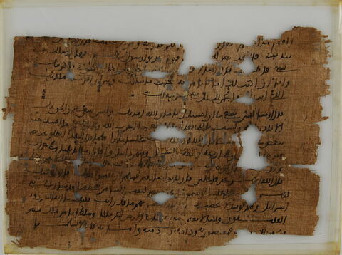 Papyrus, image 1/2