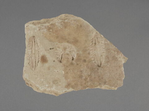 Tesson à décor d'amandes et de croissants, image 1/2