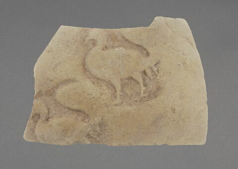 Fragment aux oiseaux, image 1/1