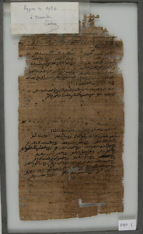 Papyrus, image 1/2
