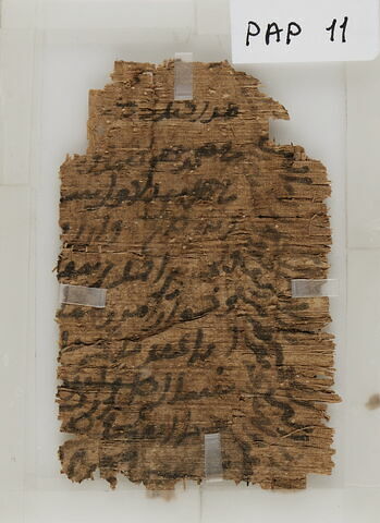 Papyrus, image 1/1