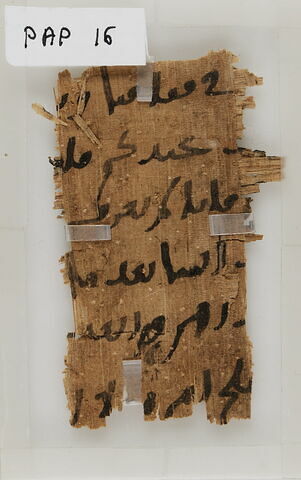 Papyrus, image 1/1