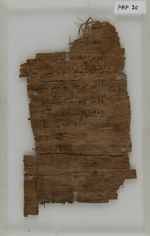 Papyrus, image 1/1