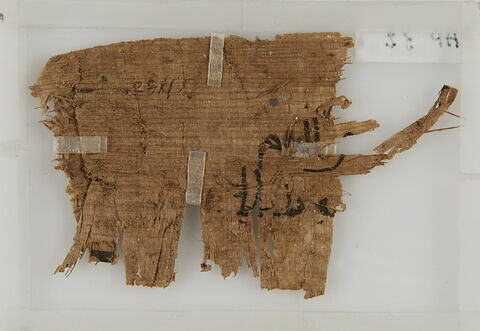 Papyrus, image 2/2