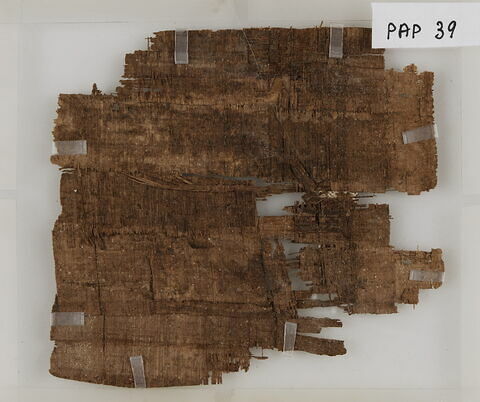 Papyrus, image 1/1