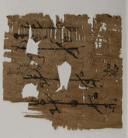 Papyrus, image 1/2