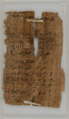 Papyrus, image 2/2