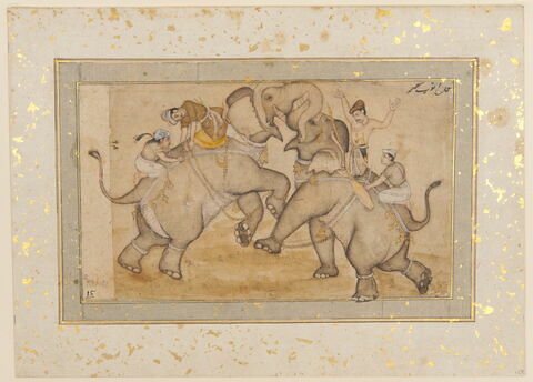 Combat d'éléphants, image 3/3