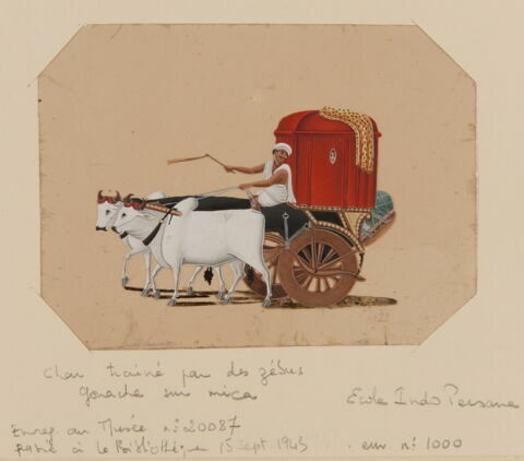 Voiture tirée par des zébus, image 2/2