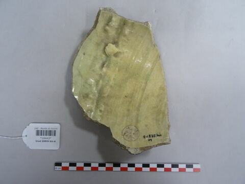 Fragment de panse, image 2/2