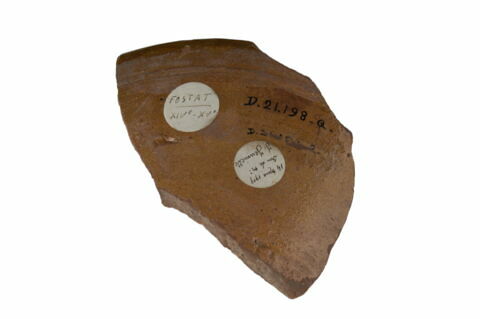 Bord de coupe au félin, image 2/2