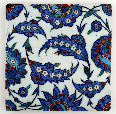 Carreau aux feuilles saz fleuries et aux grosses fleurs composites, image 1/2