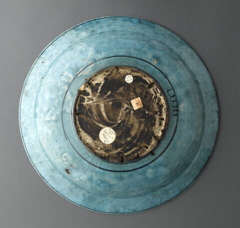 Plat aux tiges graciles, image 4/8