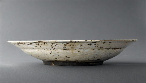 Plat à l'oiseau, image 4/5