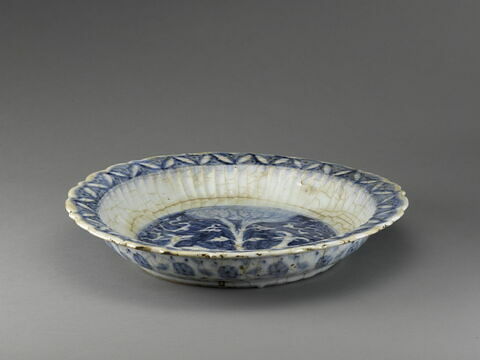 Plat aux capridés riant, image 2/7