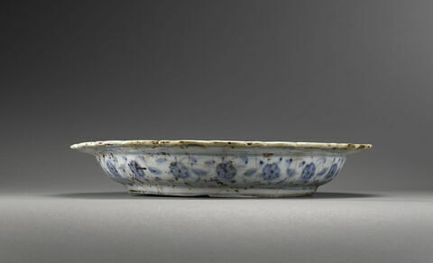 Plat aux capridés riant, image 3/7