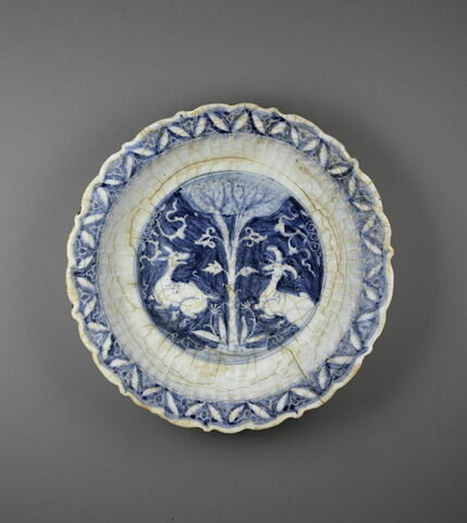 Plat aux capridés riant, image 1/7