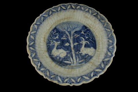 Plat aux capridés riant, image 5/7