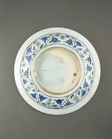 Plat sinisant aux dragons, image 3/10