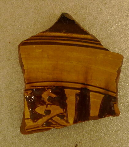 Fragment de paroi vaisselle, image 1/2