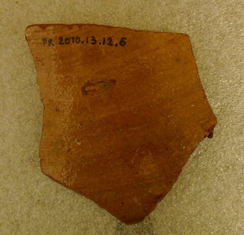 Fragment de paroi vaisselle, image 2/2