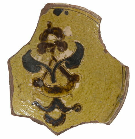 coupe lacunaire, image 1/2