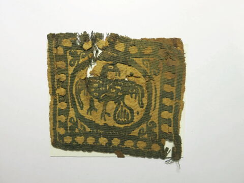 tabula, image 4/5