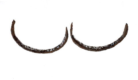 boucle d'oreille  ; anneau, image 3/4