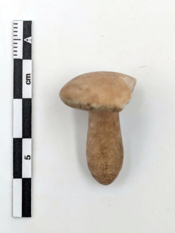 boucle d'oreille en champignon, image 3/4