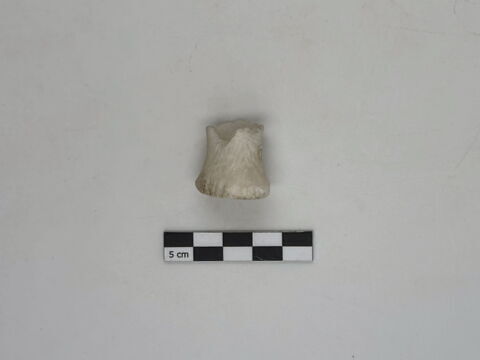 bouchon de vase, image 2/6