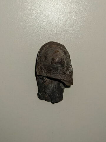 figurine de fils d'Horus  ; masque de pseudo-momie de fils d'Horus, image 2/3