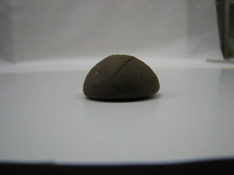 fusaïole, image 5/6