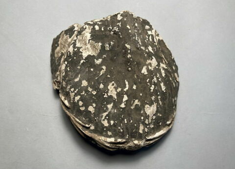 masque de momie, image 3/7