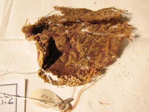 orbiculus, image 1/1