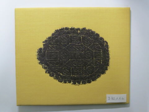 orbiculus, image 2/3