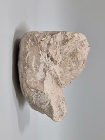 modèle de sculpteur, image 4/5