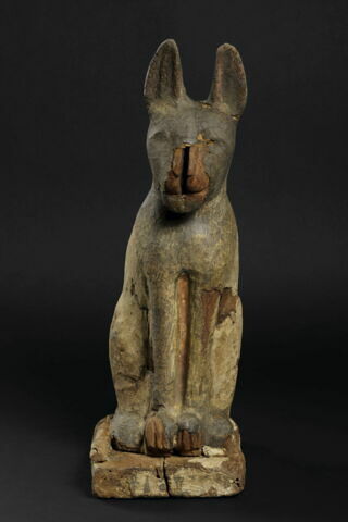 sarcophage de chat, image 4/6