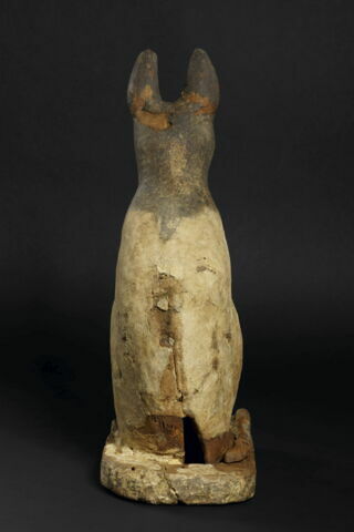 sarcophage de chat, image 5/6